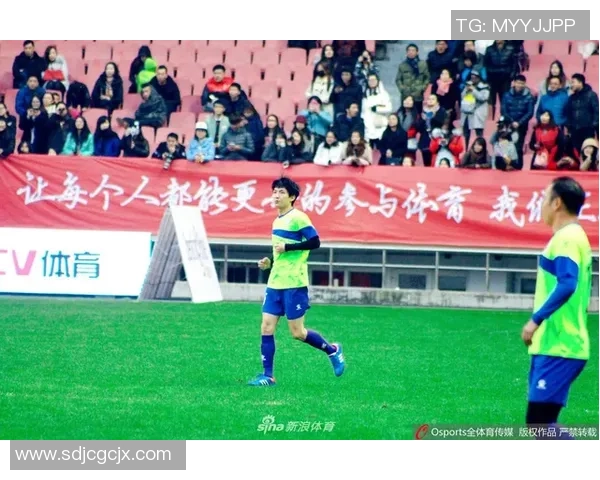 足球明星皮肤选择指南哪些皮肤最受欢迎与实用性分析