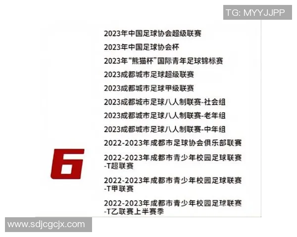 成都足球队荣登足球意识排行榜第九名引发热议